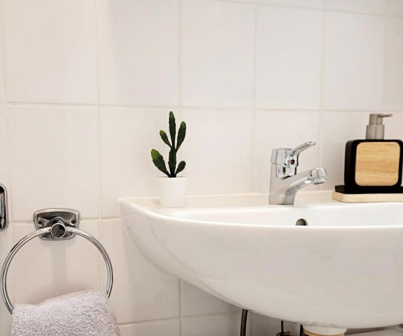 Gemuetliches Helles Appartement Dresden Ngoại thất bức ảnh